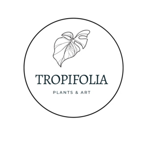 tropifolia Logo ppt 2-2 (1)